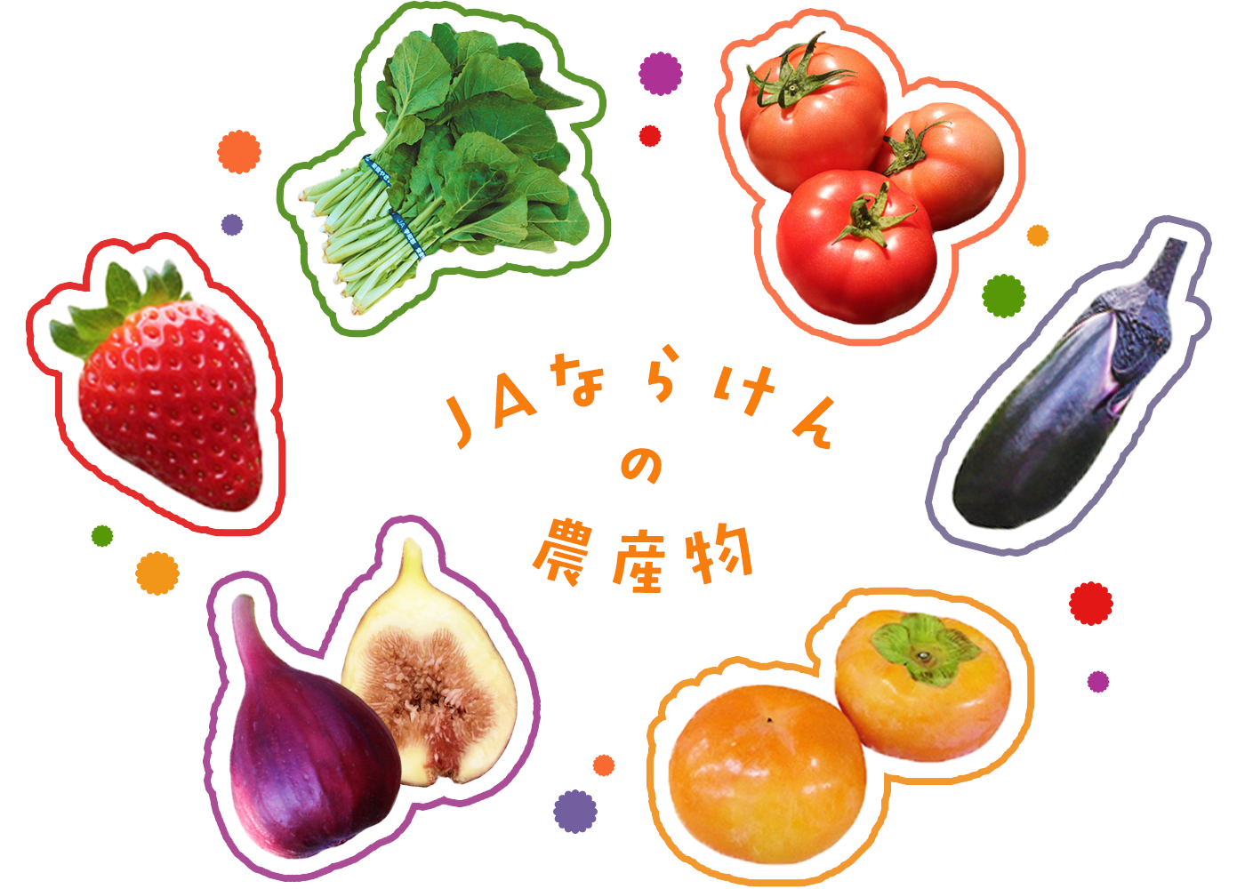 ＪＡならけんの農産物