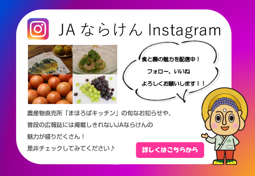 JAならけん公式Instagram開設！！