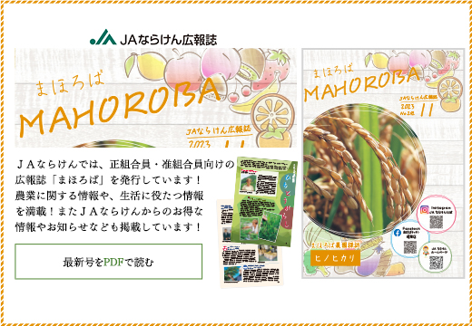 まほろば